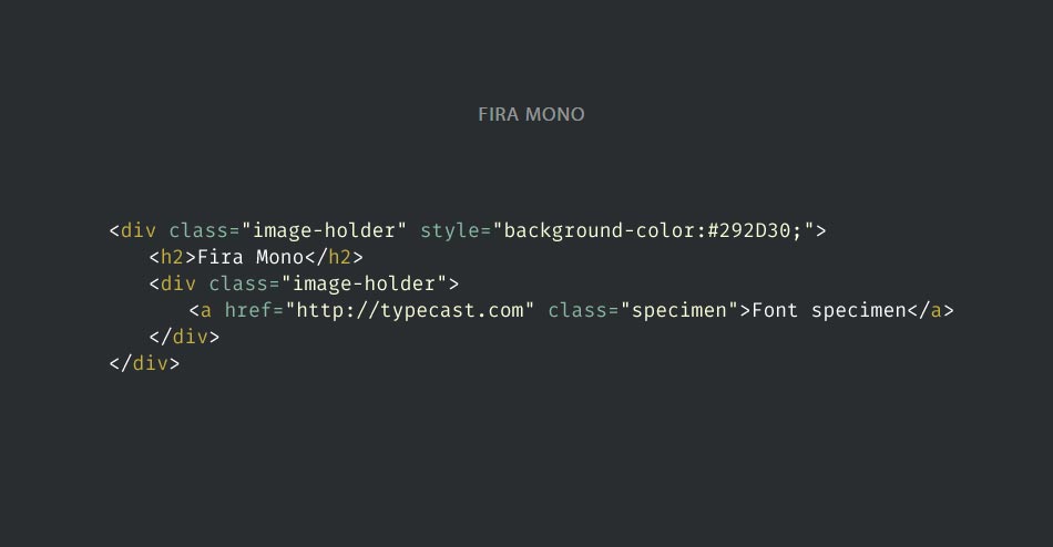Screenshot Site 10 Fonts for Code
