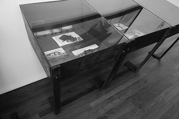 «Difesa della Natura» Joseph Beuys. Ausstellung im Kunsthaus Zürich, 13.05.2011 - 14.08.2011 2011